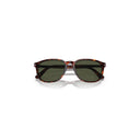 Persol Brown Men's Sunglasses