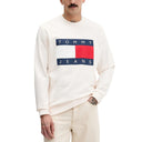 Tommy Hilfiger Jeans Men Sweatshirts