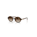 Vogue Eyewear Brown Women's Sunglasses