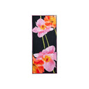 Desigual  Women Scarve
