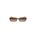 Vogue Eyewear Brown Women's Sunglasses