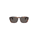 Persol Brown Men's Sunglasses