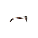 Persol Brown Men's Sunglasses
