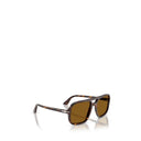 Persol Brown Men's Sunglasses
