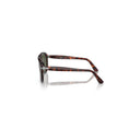 Persol Brown Men's Sunglasses