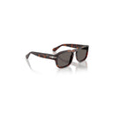 Persol Brown Men's Sunglasses