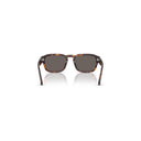 Persol Brown Men's Sunglasses