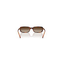 Vogue Eyewear Brown Women's Sunglasses