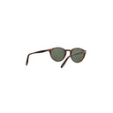 Persol Brown Men's Sunglasses