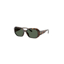 Michael Kors Brown Women's Sunglasses