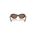 Dolce & Gabbana Brown Women's Sunglasses