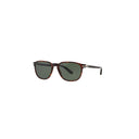 Persol Brown Men's Sunglasses