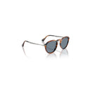 Persol Black Men's Sunglasses