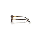 Dolce & Gabbana Brown Women's Sunglasses