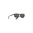 Persol Brown Men's Sunglasses