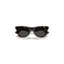 Burberry Brown Men's Sunglasses