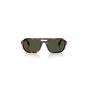 Persol Brown Men's Sunglasses