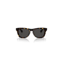Burberry Brown Men's Sunglasses