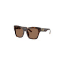 Dolce & Gabbana Brown Women's Sunglasses