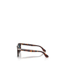 Persol Brown Men's Sunglasses