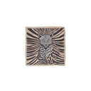 Alviero Martini Prima Classe  Women Scarve