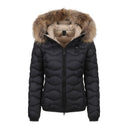 Blauer.  Women Blazer