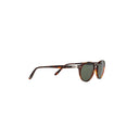Persol Brown Men's Sunglasses