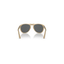 Persol Beige Men's Sunglasses