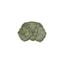 Barbour  Women Accessories
