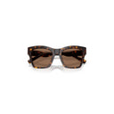 Dolce & Gabbana Brown Women's Sunglasses