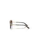 Dolce & Gabbana Brown Women's Sunglasses